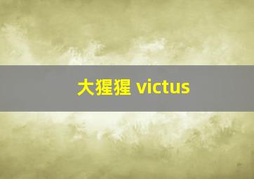 大猩猩 victus